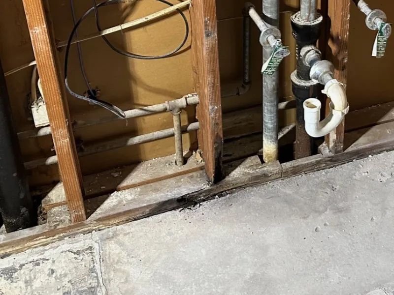 Rotted Water Damage Wood Stud and Sill Plate